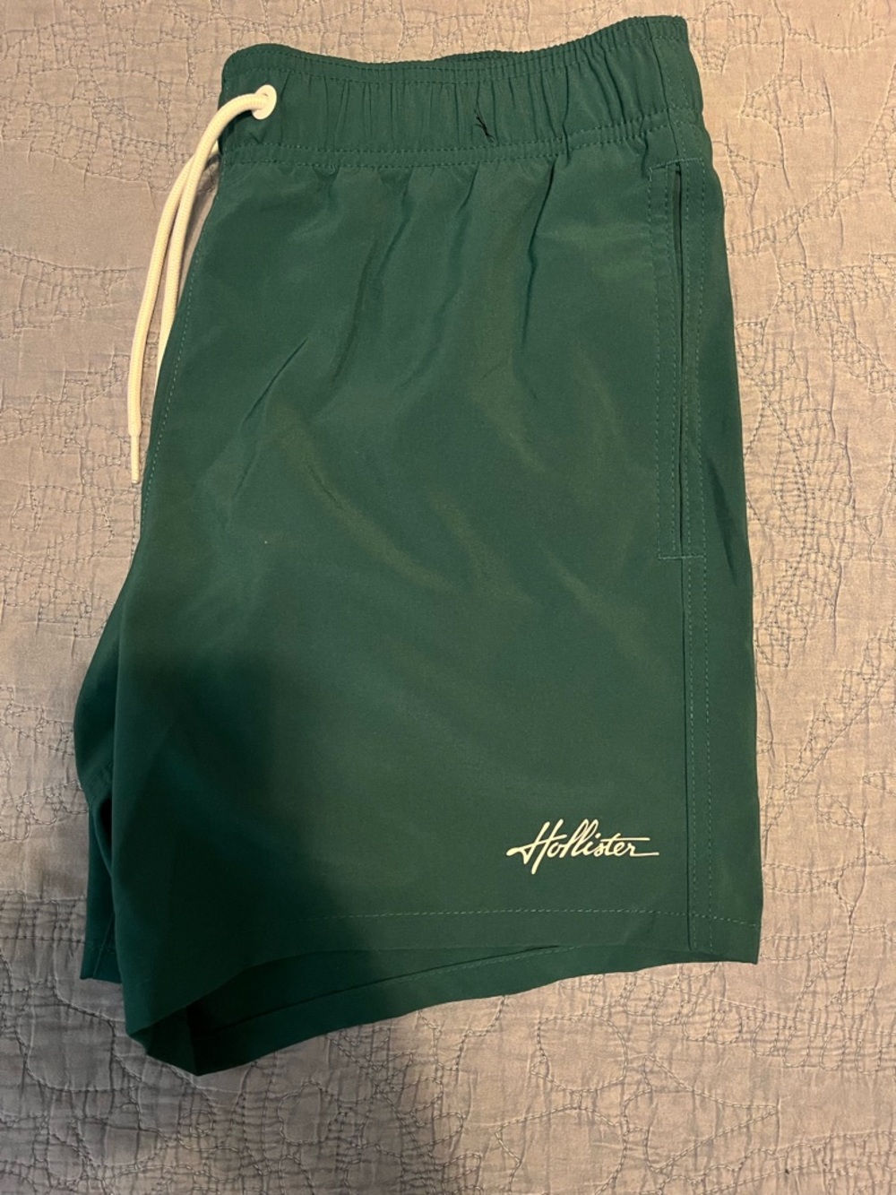Hollister Swim Trunks 5”